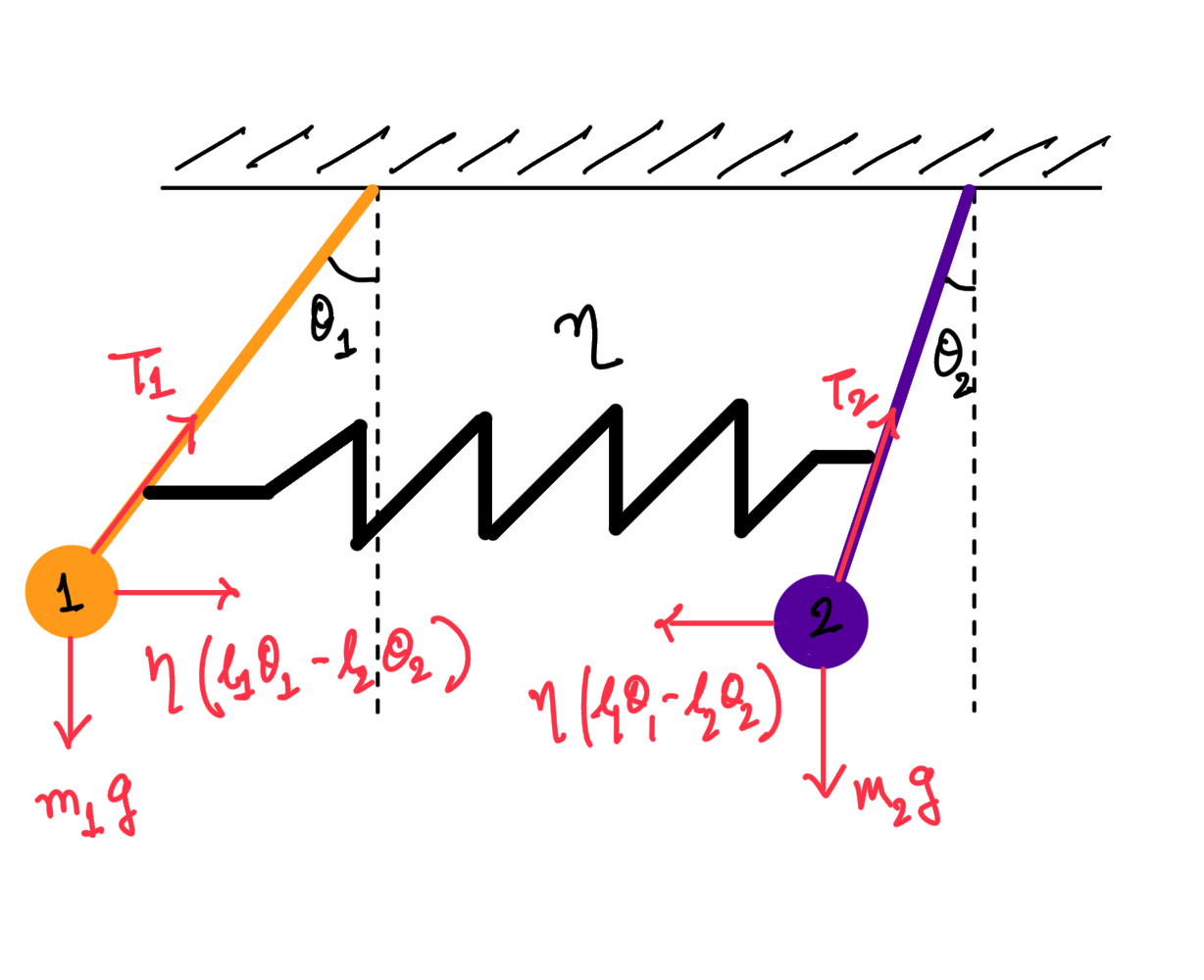 Free body diagram of coupled pendulums